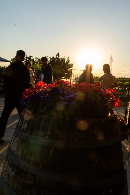 Botte in legno con fiori e ospiti al tramonto